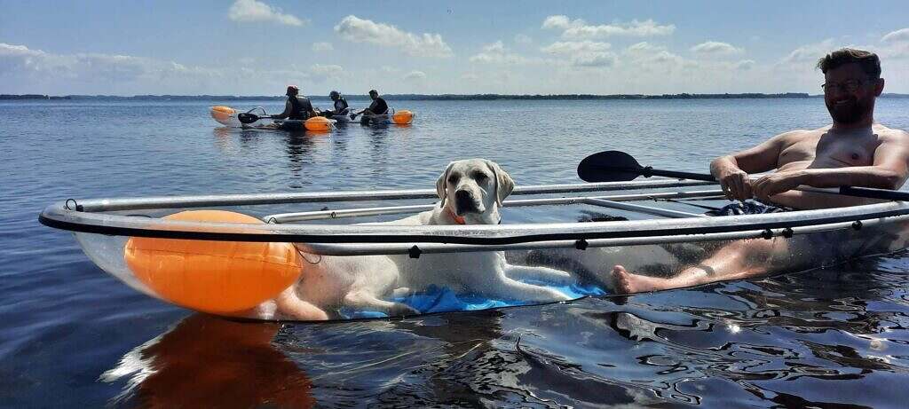 Exactly how to Kayak With Your Canine